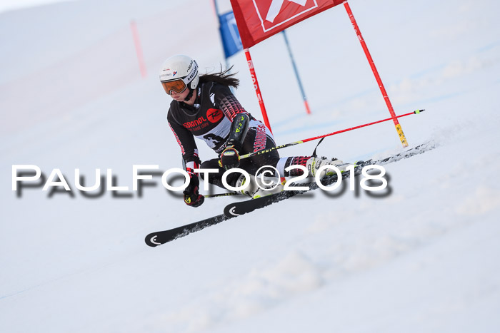 Int. FIS Rennen Damen, RS, Maria Alm 09.01.2018