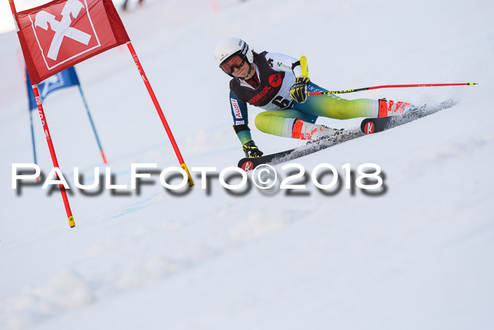 Int. FIS Rennen Damen, RS, Maria Alm 09.01.2018