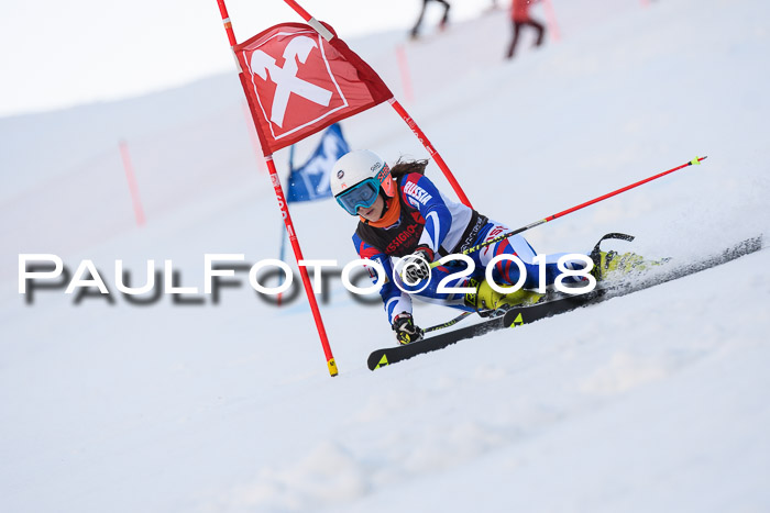 Int. FIS Rennen Damen, RS, Maria Alm 09.01.2018