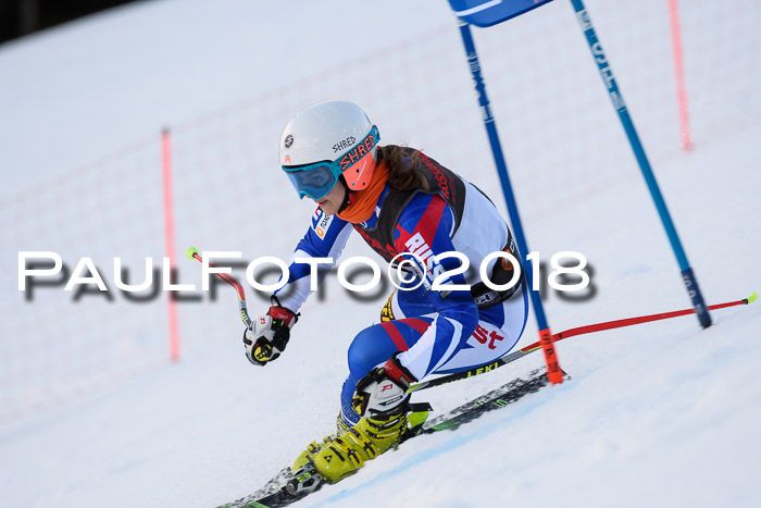 Int. FIS Rennen Damen, RS, Maria Alm 09.01.2018