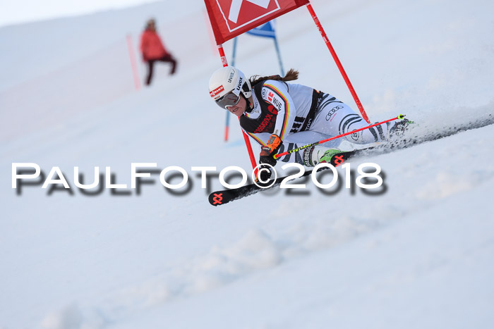 Int. FIS Rennen Damen, RS, Maria Alm 09.01.2018