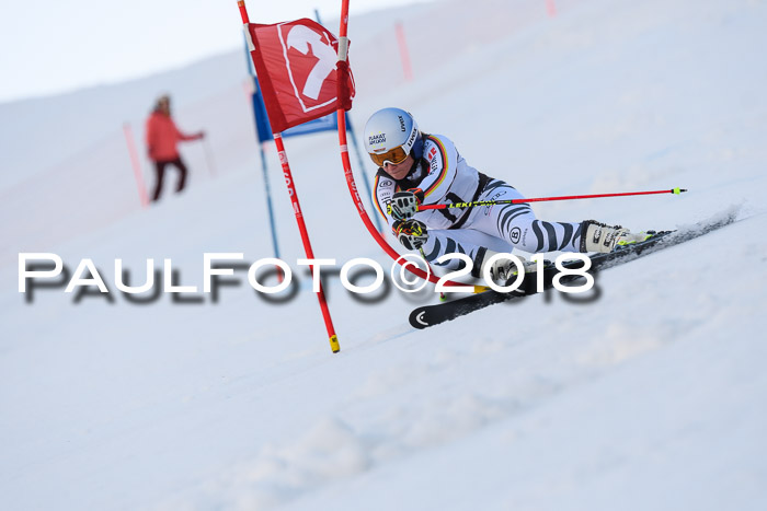 Int. FIS Rennen Damen, RS, Maria Alm 09.01.2018