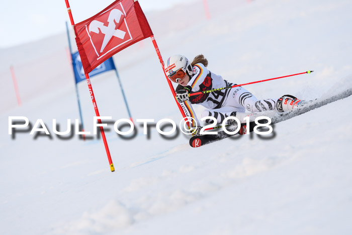 Int. FIS Rennen Damen, RS, Maria Alm 09.01.2018