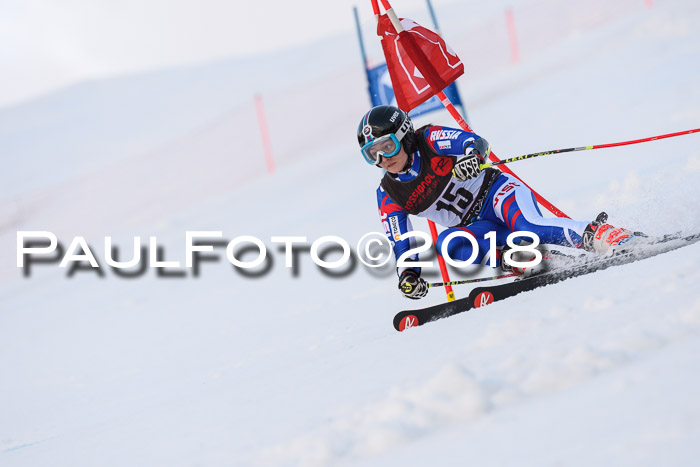 Int. FIS Rennen Damen, RS, Maria Alm 09.01.2018