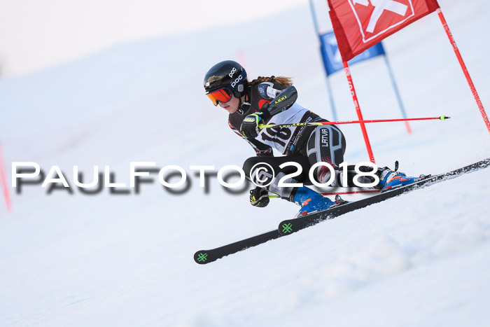 Int. FIS Rennen Damen, RS, Maria Alm 09.01.2018