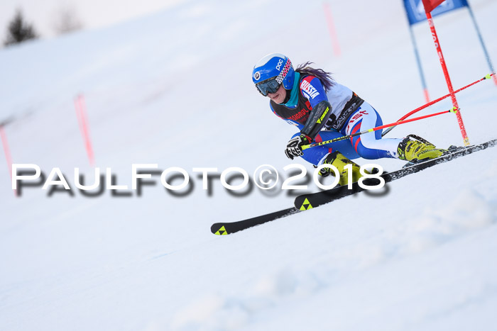 Int. FIS Rennen Damen, RS, Maria Alm 09.01.2018