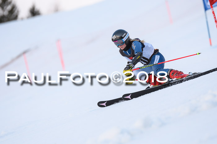 Int. FIS Rennen Damen, RS, Maria Alm 09.01.2018