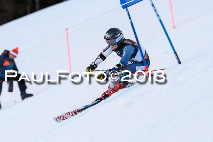 Int. FIS Rennen Damen, RS, Maria Alm 09.01.2018