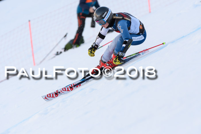 Int. FIS Rennen Damen, RS, Maria Alm 09.01.2018