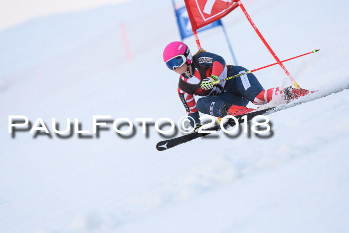 Int. FIS Rennen Damen, RS, Maria Alm 09.01.2018