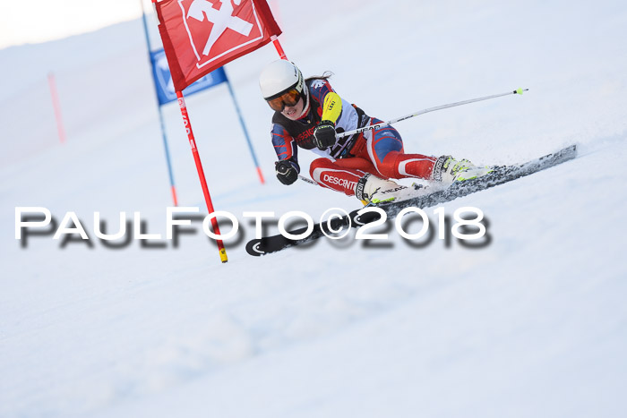 Int. FIS Rennen Damen, RS, Maria Alm 09.01.2018
