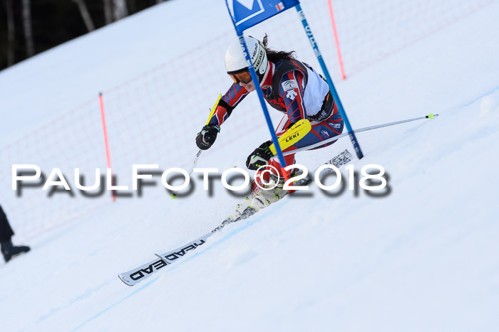 Int. FIS Rennen Damen, RS, Maria Alm 09.01.2018