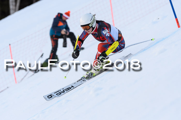 Int. FIS Rennen Damen, RS, Maria Alm 09.01.2018