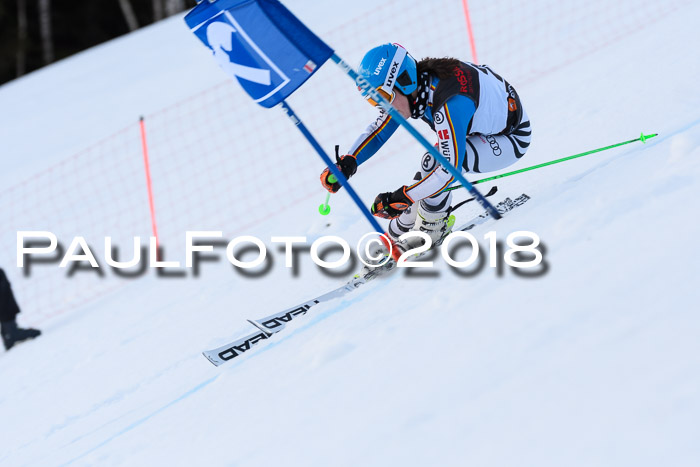 Int. FIS Rennen Damen, RS, Maria Alm 09.01.2018