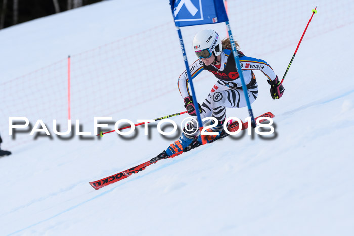 Int. FIS Rennen Damen, RS, Maria Alm 09.01.2018