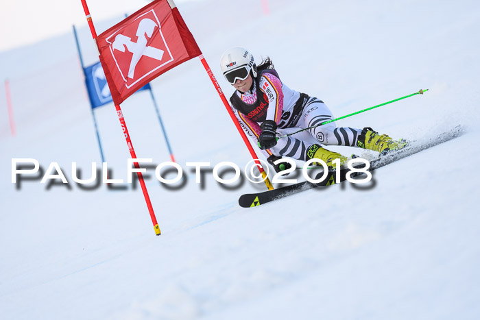 Int. FIS Rennen Damen, RS, Maria Alm 09.01.2018