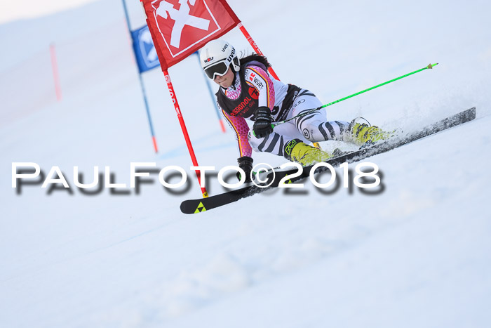Int. FIS Rennen Damen, RS, Maria Alm 09.01.2018