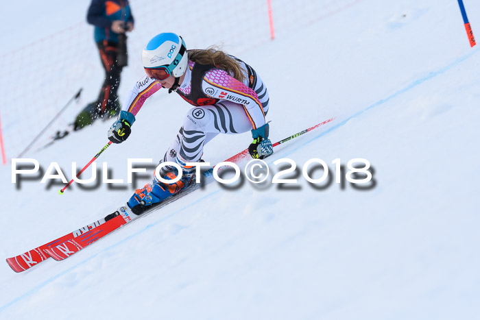 Int. FIS Rennen Damen, RS, Maria Alm 09.01.2018