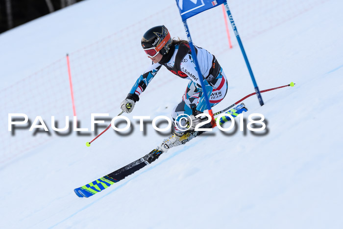 Int. FIS Rennen Damen, RS, Maria Alm 09.01.2018