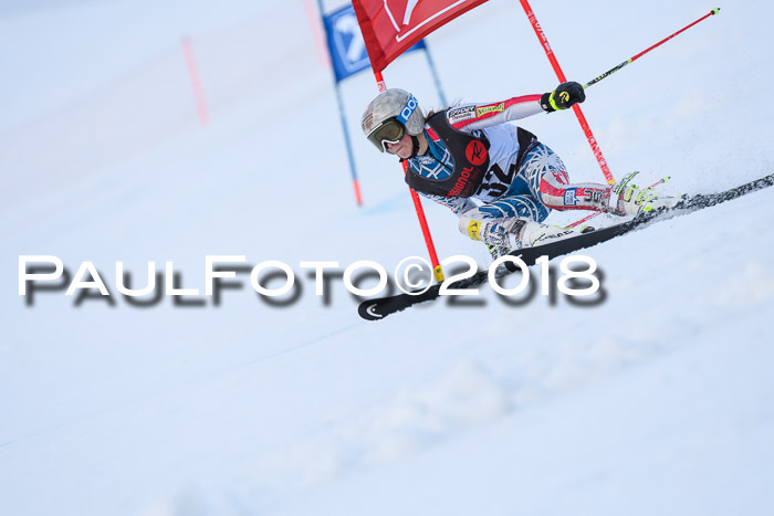 Int. FIS Rennen Damen, RS, Maria Alm 09.01.2018