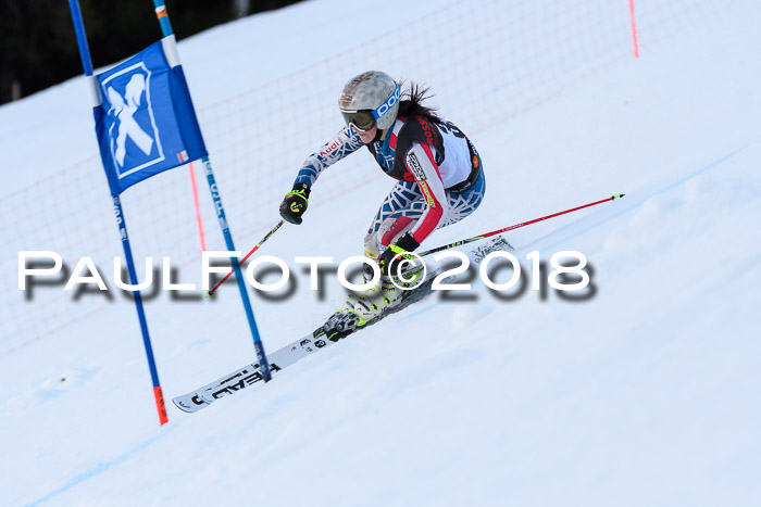 Int. FIS Rennen Damen, RS, Maria Alm 09.01.2018