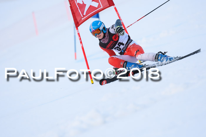 Int. FIS Rennen Damen, RS, Maria Alm 09.01.2018