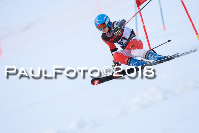 Int. FIS Rennen Damen, RS, Maria Alm 09.01.2018