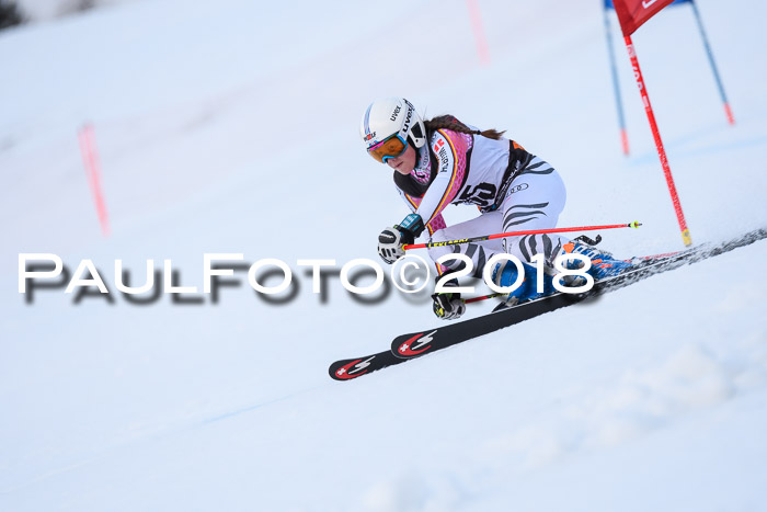 Int. FIS Rennen Damen, RS, Maria Alm 09.01.2018