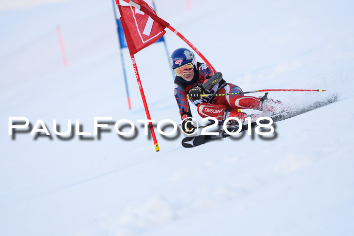 Int. FIS Rennen Damen, RS, Maria Alm 09.01.2018