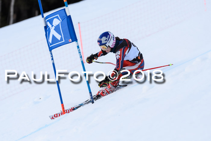 Int. FIS Rennen Damen, RS, Maria Alm 09.01.2018