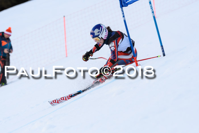 Int. FIS Rennen Damen, RS, Maria Alm 09.01.2018