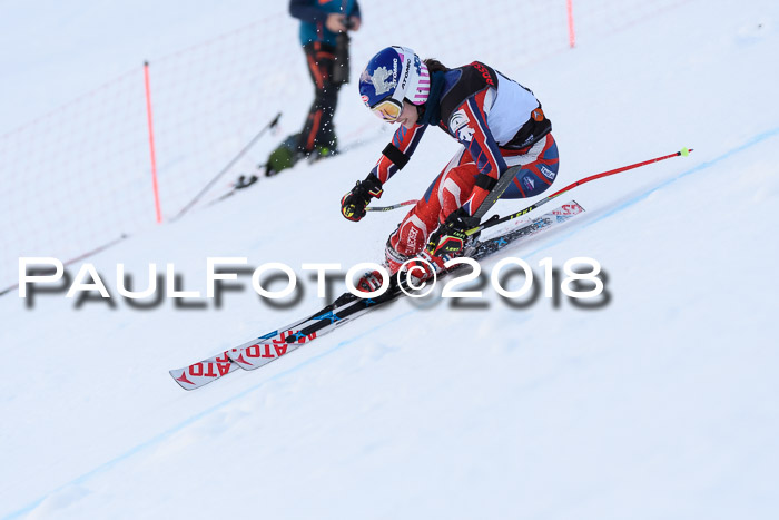 Int. FIS Rennen Damen, RS, Maria Alm 09.01.2018
