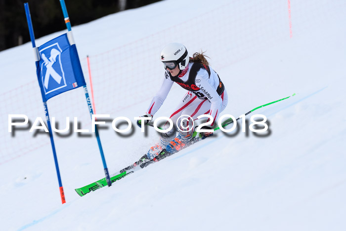 Int. FIS Rennen Damen, RS, Maria Alm 09.01.2018