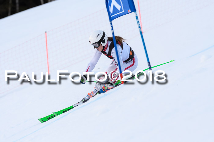 Int. FIS Rennen Damen, RS, Maria Alm 09.01.2018