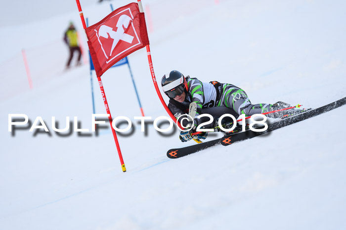 Int. FIS Rennen Damen, RS, Maria Alm 09.01.2018