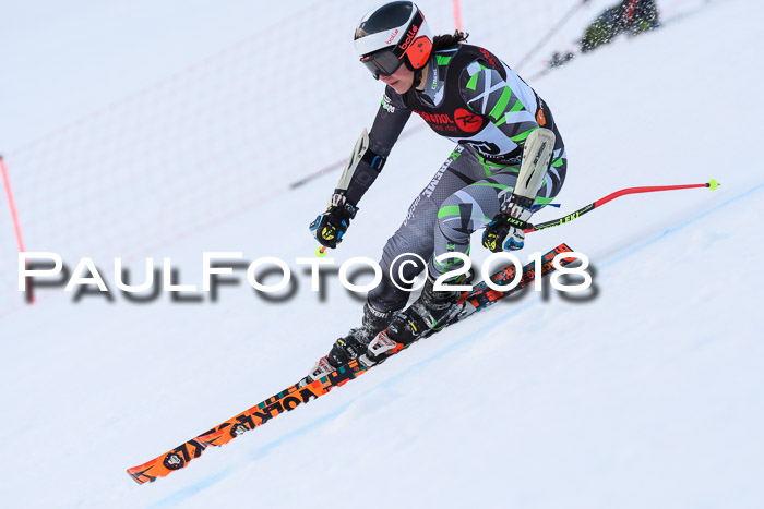Int. FIS Rennen Damen, RS, Maria Alm 09.01.2018