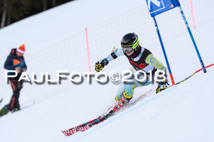 Int. FIS Rennen Damen, RS, Maria Alm 09.01.2018