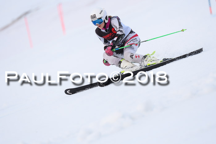Int. FIS Rennen Damen, RS, Maria Alm 09.01.2018