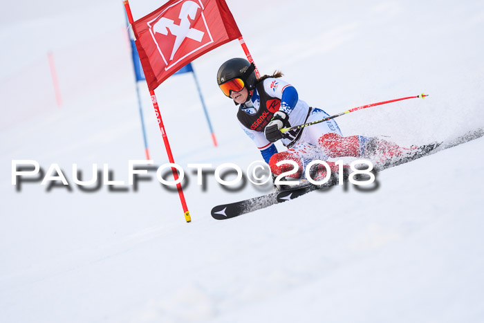 Int. FIS Rennen Damen, RS, Maria Alm 09.01.2018