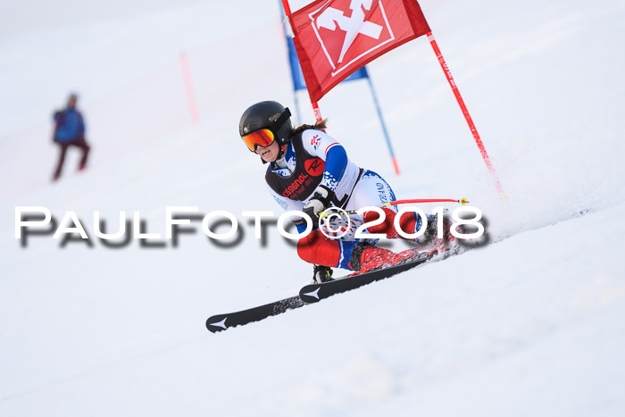 Int. FIS Rennen Damen, RS, Maria Alm 09.01.2018