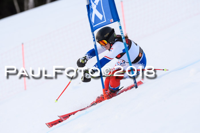 Int. FIS Rennen Damen, RS, Maria Alm 09.01.2018