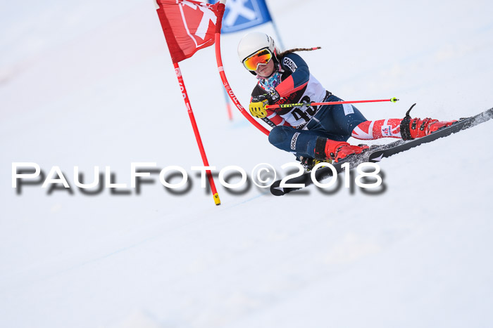 Int. FIS Rennen Damen, RS, Maria Alm 09.01.2018
