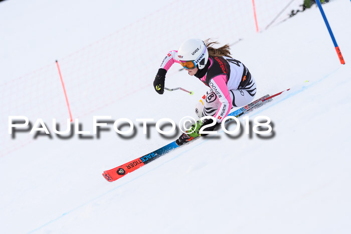 Int. FIS Rennen Damen, RS, Maria Alm 09.01.2018