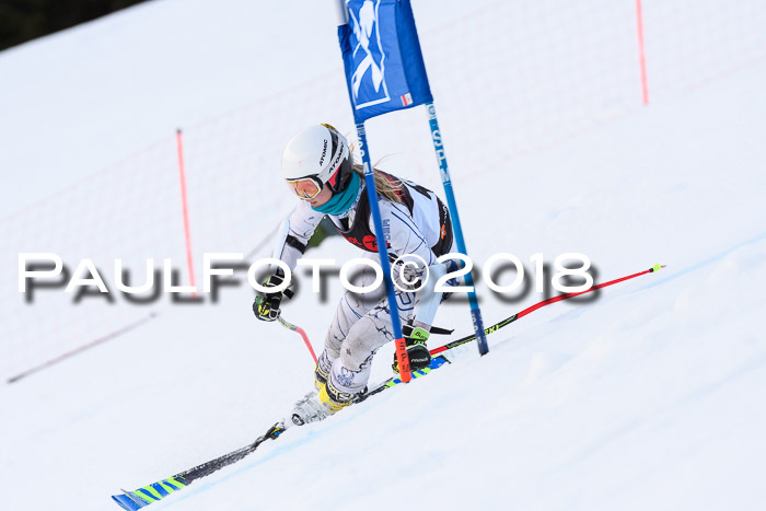 Int. FIS Rennen Damen, RS, Maria Alm 09.01.2018