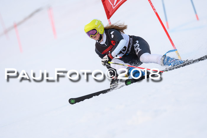 Int. FIS Rennen Damen, RS, Maria Alm 09.01.2018