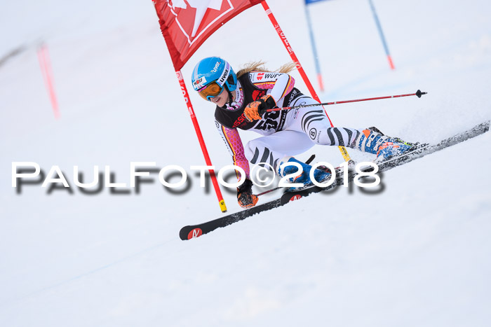 Int. FIS Rennen Damen, RS, Maria Alm 09.01.2018