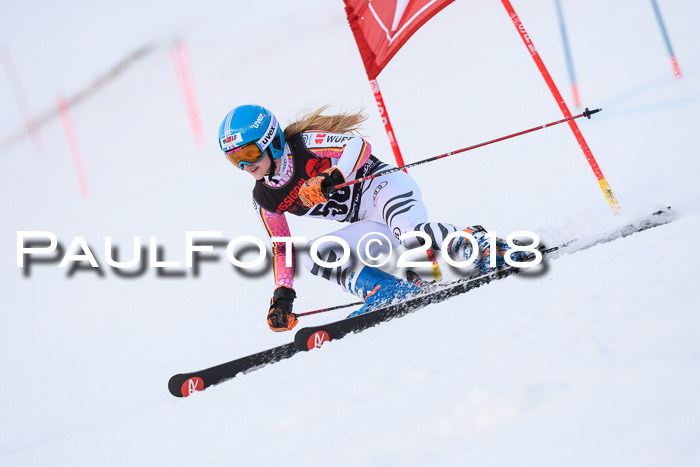 Int. FIS Rennen Damen, RS, Maria Alm 09.01.2018