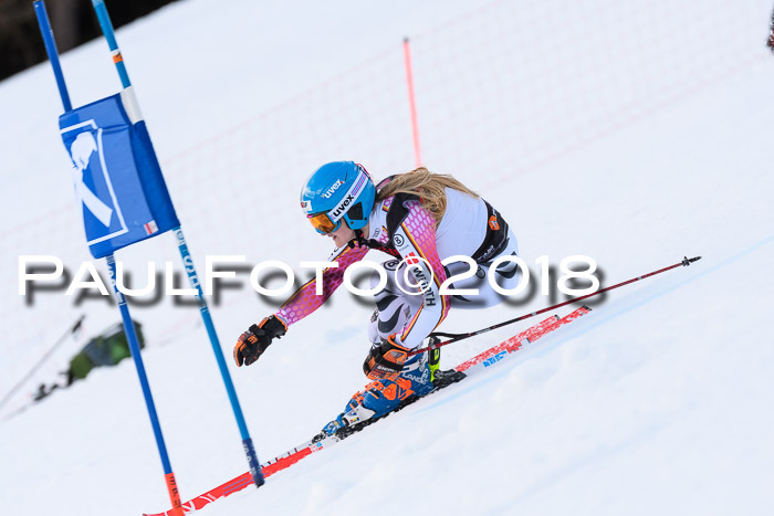 Int. FIS Rennen Damen, RS, Maria Alm 09.01.2018