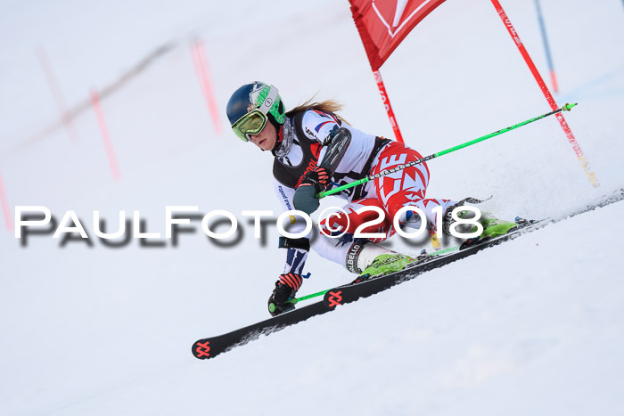 Int. FIS Rennen Damen, RS, Maria Alm 09.01.2018