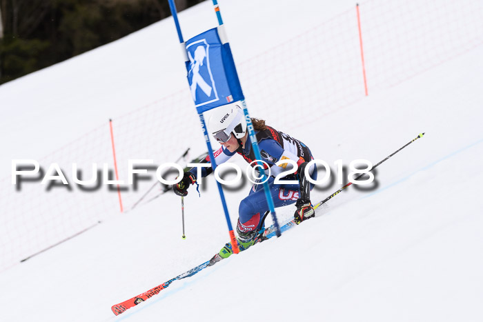 Int. FIS Rennen Damen, RS, Maria Alm 09.01.2018